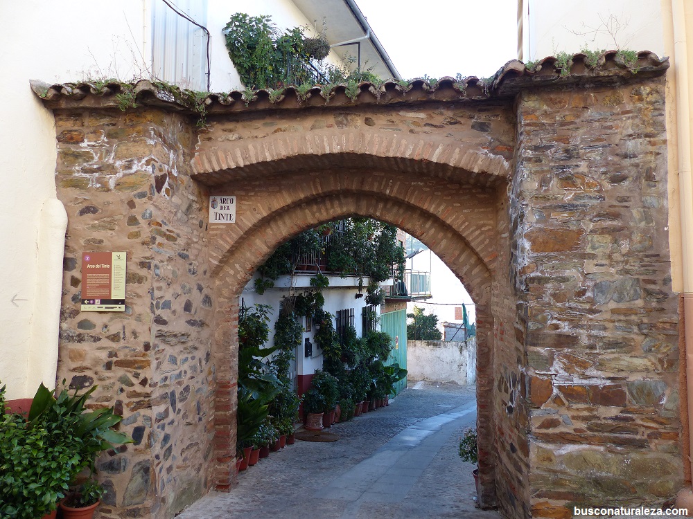 Puerta Arco Guadalupe