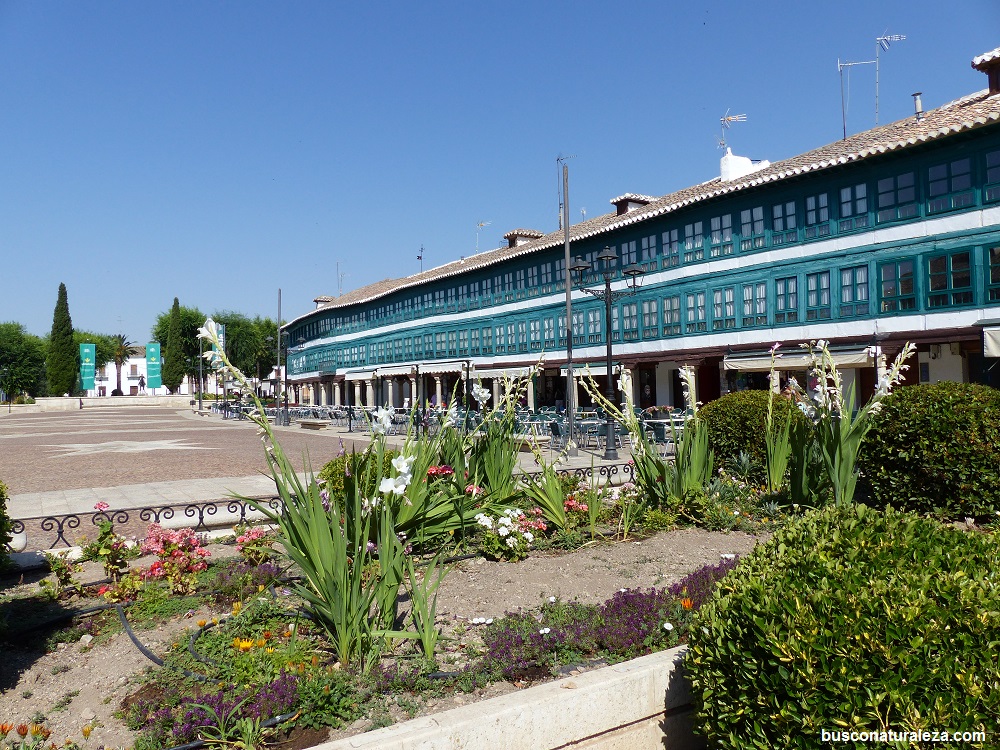 Almagro plaza mayor