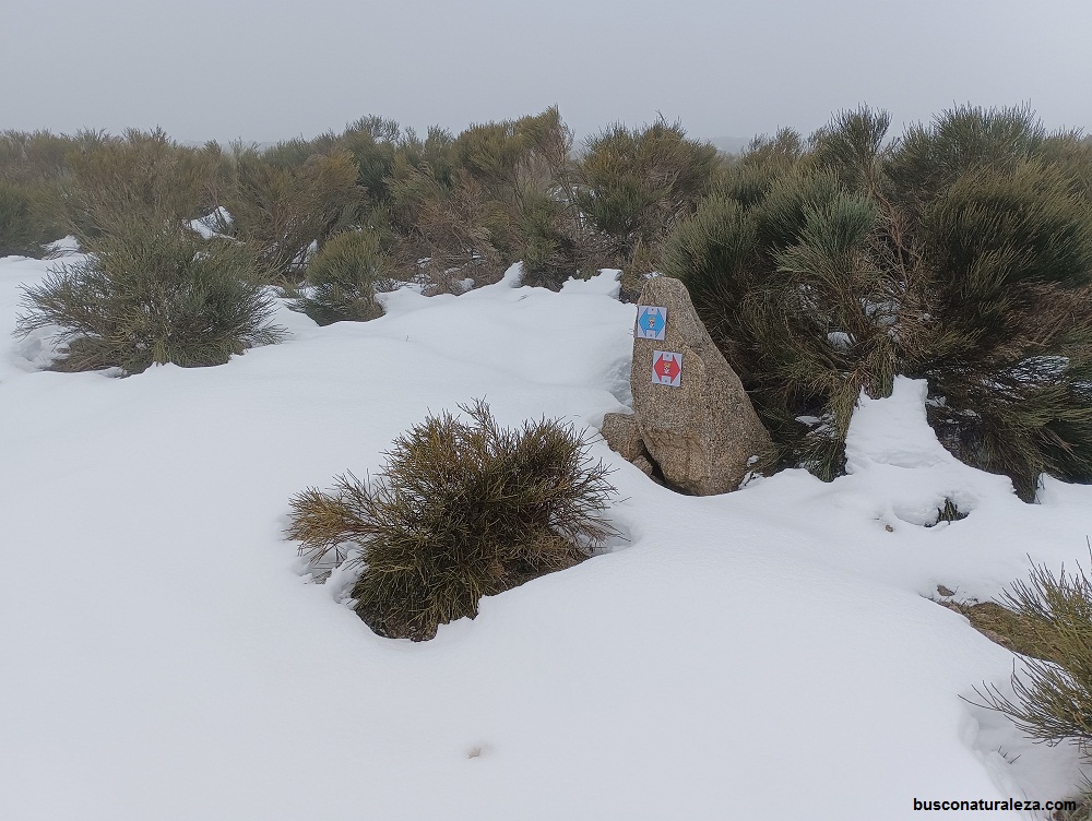 nacimiento rio tormes
