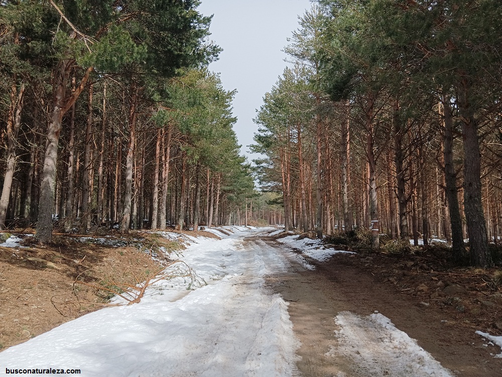 nacimiento rio tormes